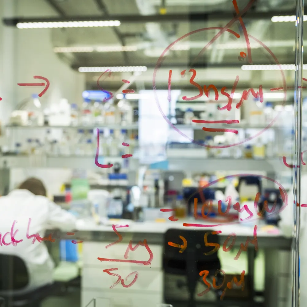 Lim lab view